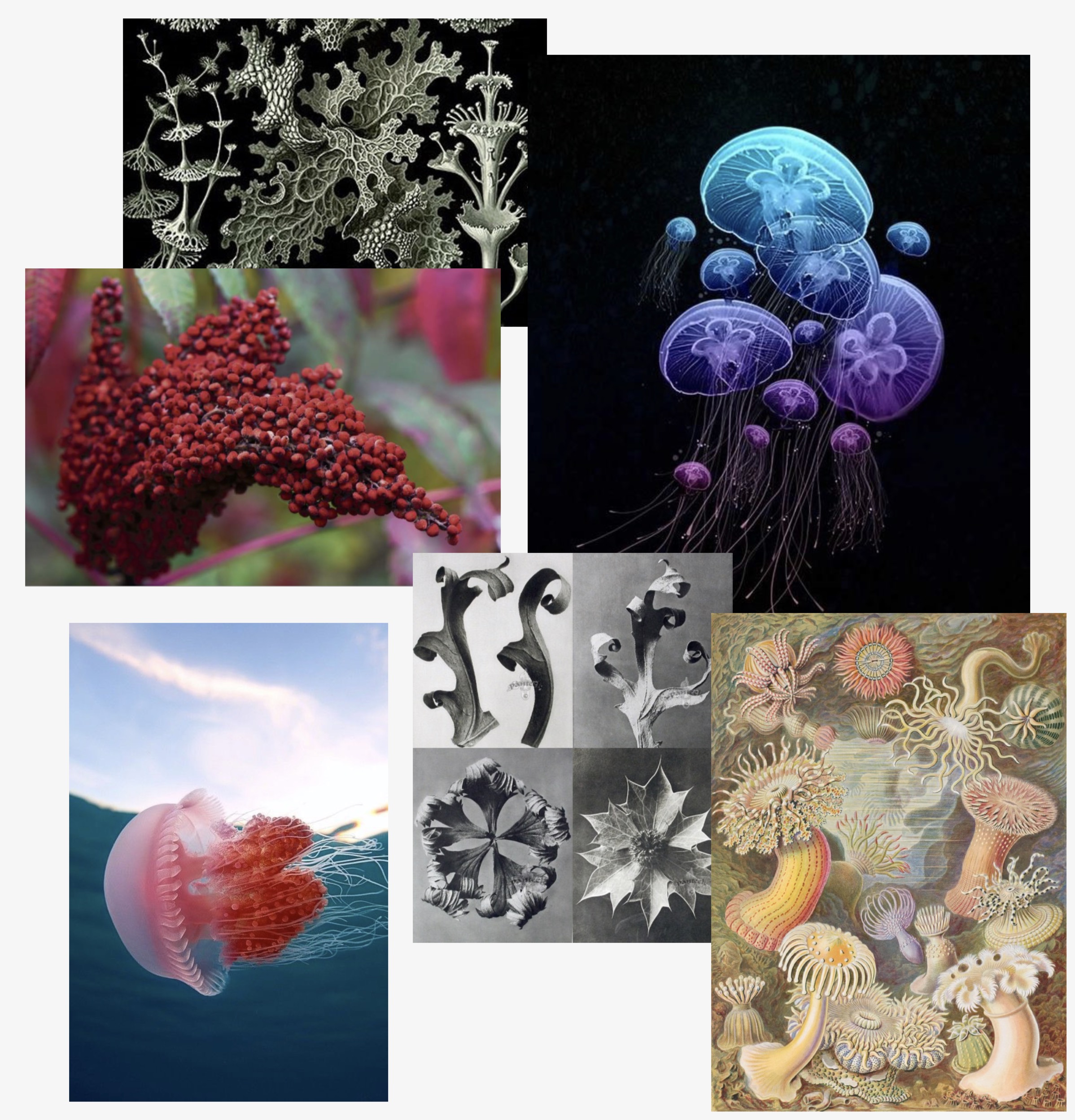 Inspired by nature